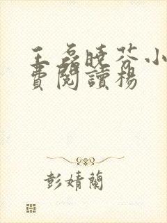 王磊晓芬小说免费阅读杨