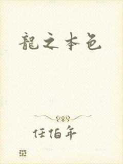 龙之本色