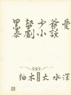 黑帮少爷爱上我泰剧小说