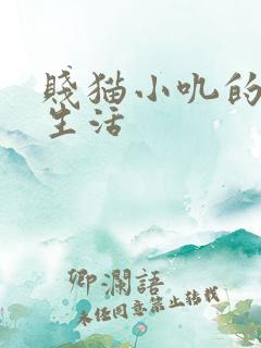 贱猫小叽的幸福生活