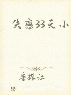 失恋33天小说