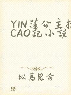YIN荡公主挨CAO记小说