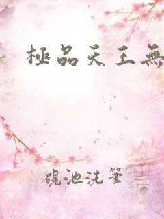极品天王无弹窗