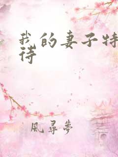 我的妻子特殊招待