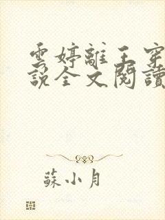 云婷离王穿越小说全文阅读