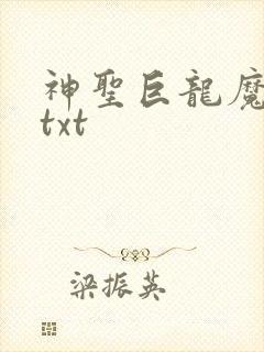 神圣巨龙魔法师txt
