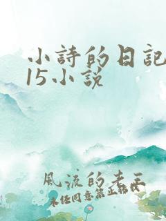 小诗的日记1一15小说