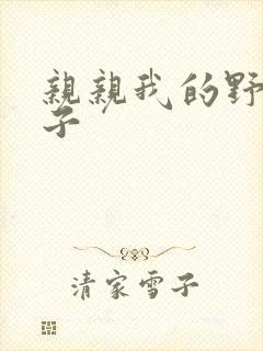 亲亲我的野猪王子