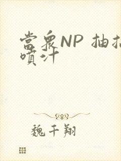 当众NP 抽搐喷汁