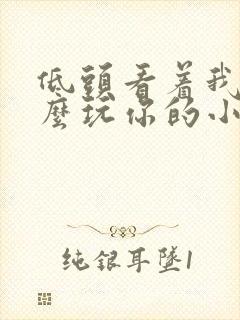 低头看着我是怎么玩你的小说