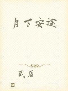 月下安途