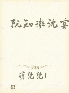 阮知微沈宴电竞