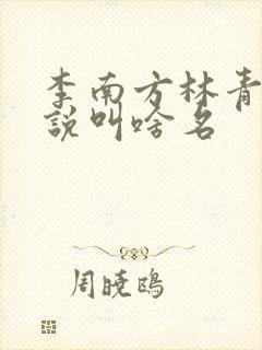 李南方林青青小说叫啥名