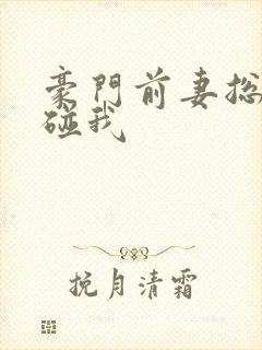 豪门前妻总裁别碰我