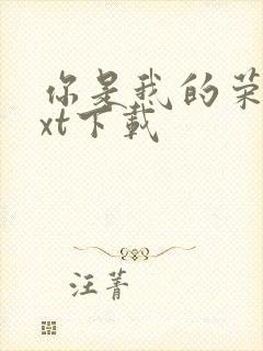 你是我的荣耀txt下载