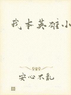我本英雄小说