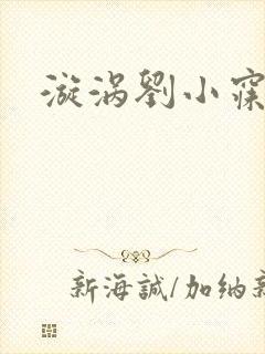 漩涡刘小寐