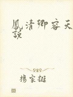 凤清卿容天凌小说