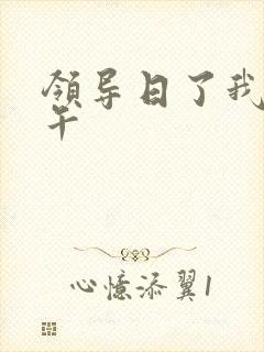 领导日了我一下午