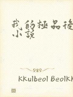 我的极品后宫 小说