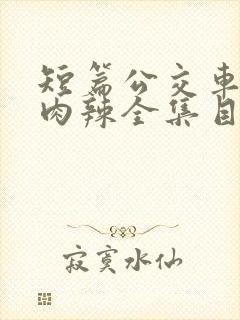 短篇公交车高h肉辣全集目录