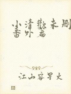 小清欢未删减版番外篇