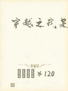 穿越之我是带土