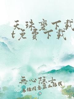 天珠变下载txt免费下载