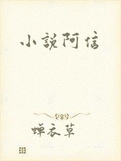 小说阿信