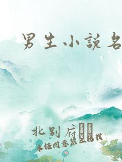 男生小说名字
