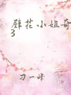 壁花小姐奇遇记3