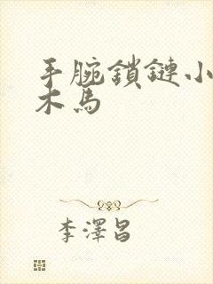 手腕锁链小黑屋木马