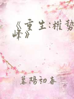 《重生:权势巅峰》