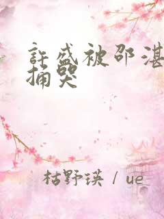 许盛被邵湛站着捅哭