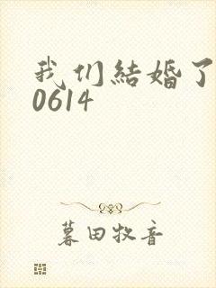 我们结婚了130614