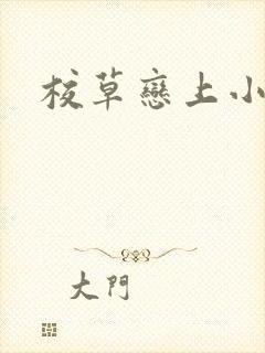 校草恋上小丫头