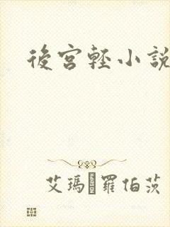 后宫轻小说