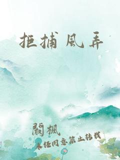 拒捕 风弄