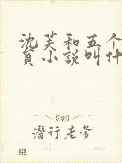 沈芙和五个消防员小说叫什么