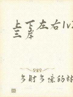 上下左右1v2三岸