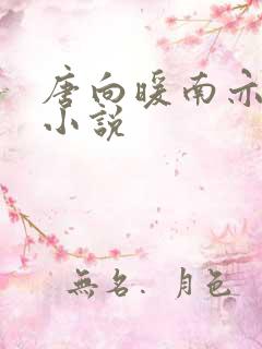 唐向暖南亦琛的小说