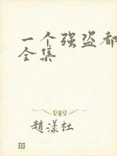 一个强盗都不留全集