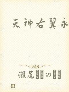 天神右翼永恒