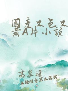 国产又色又爽又黄A片小说