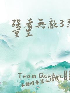 强者无敌3烈火重生