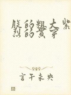 朕的粗大紫红猛烈的贯穿