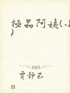 极品阿姨(小说)