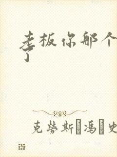 老板你那个太长了