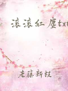 滚滚红尘txt