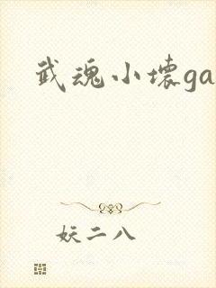 武魂小坏ga